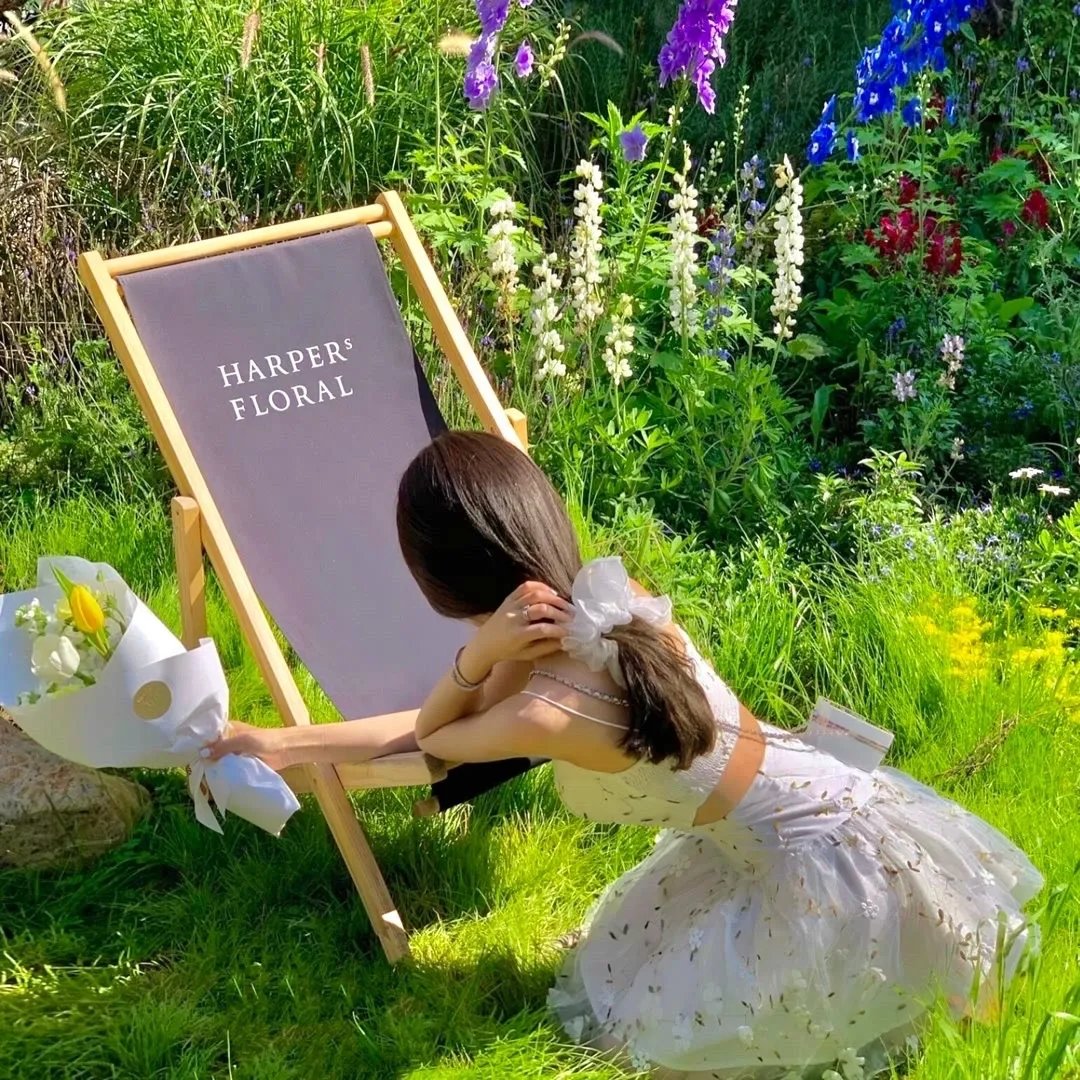 刀剑神域 爱丽丝篇 异界战争